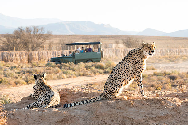 South Africa